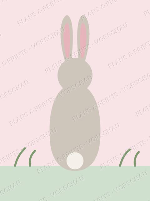 Hase