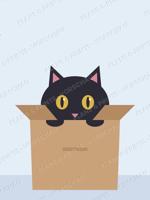 Katze im Karton